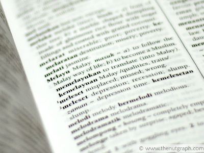 The Nut Graph When was the last time you opened a dictionary?